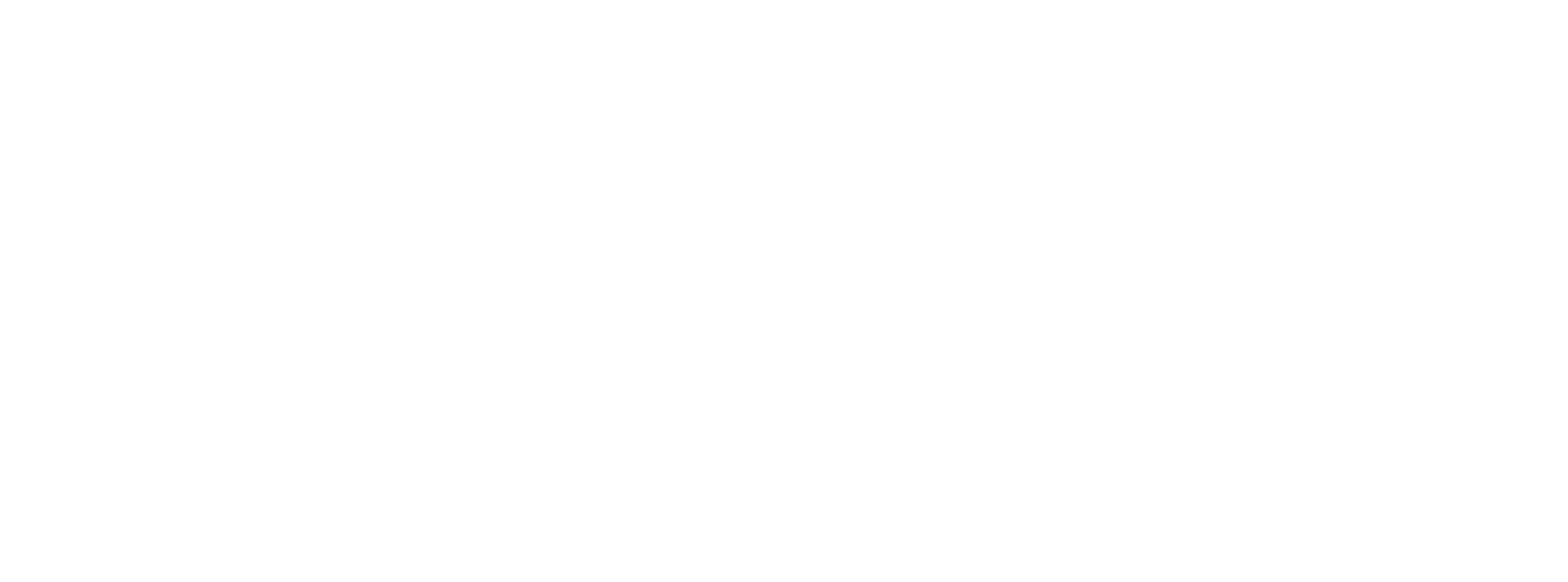 Dtemite